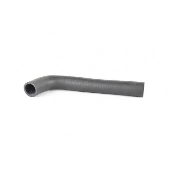 Durite de radiateur BSG BSG 40-720-032