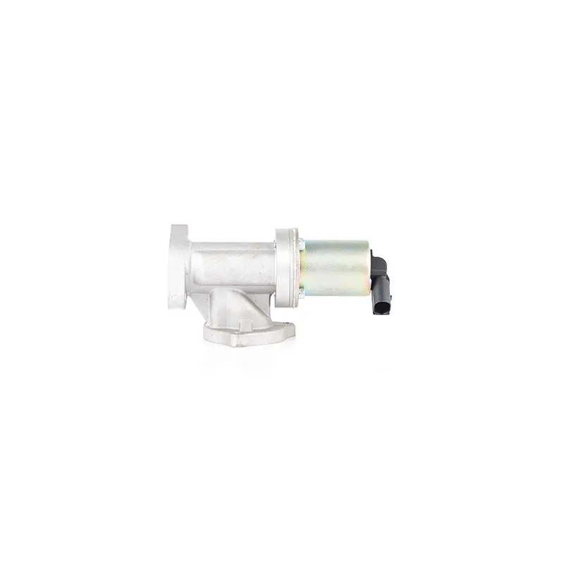 Vanne EGR BSG BSG 40-836-002