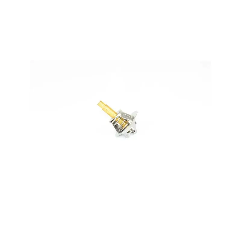 Thermostat d'eau BSG BSG 60-125-004