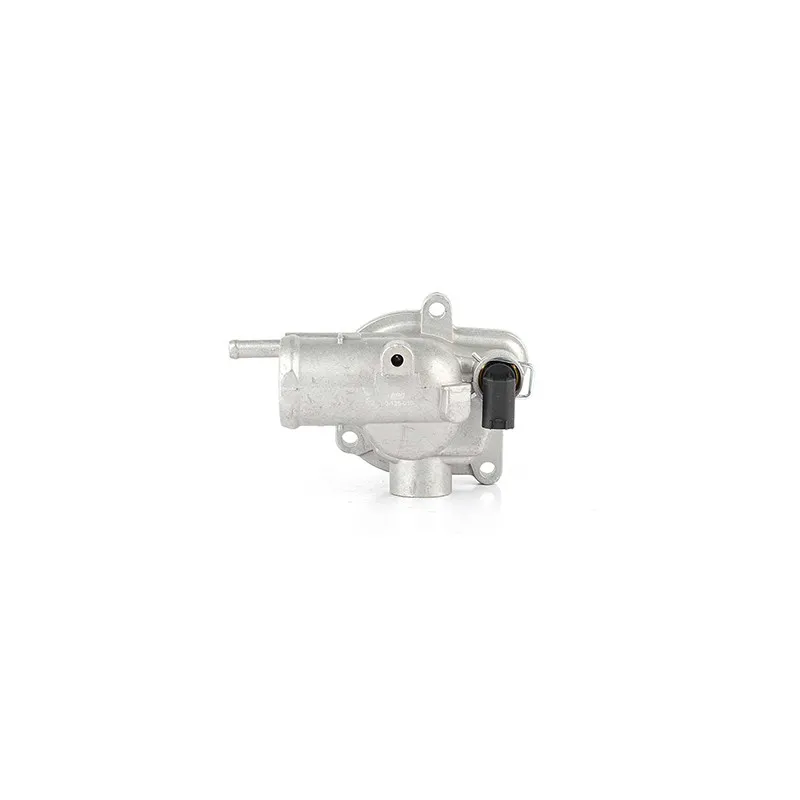 Boîtier du thermostat BSG BSG 60-125-010