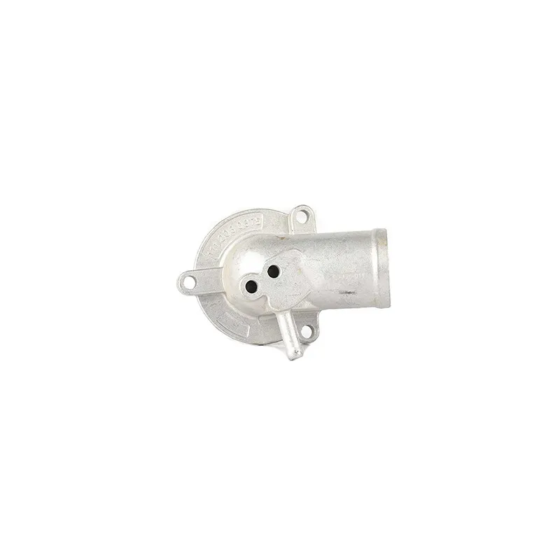 Thermostat d'eau BSG BSG 60-125-011