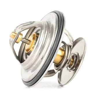 Thermostat d'eau BSG BSG 60-125-014