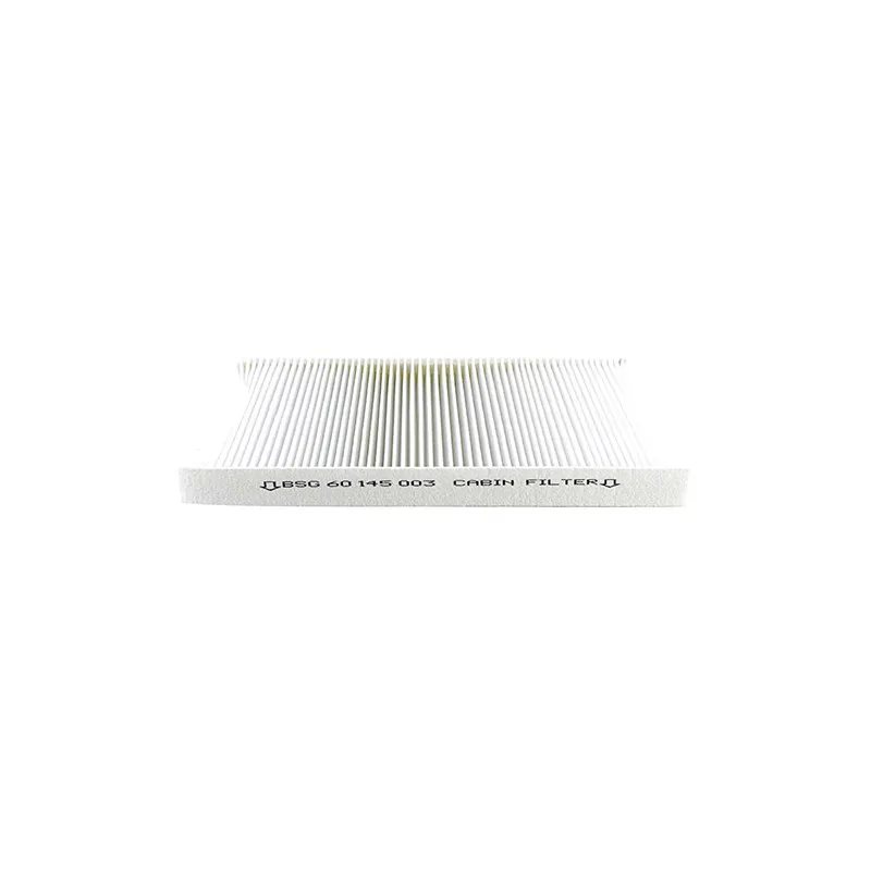 Filtre, air de l'habitacle BSG BSG 60-145-003