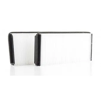 Filtre, air de l'habitacle BSG BSG 60-145-005