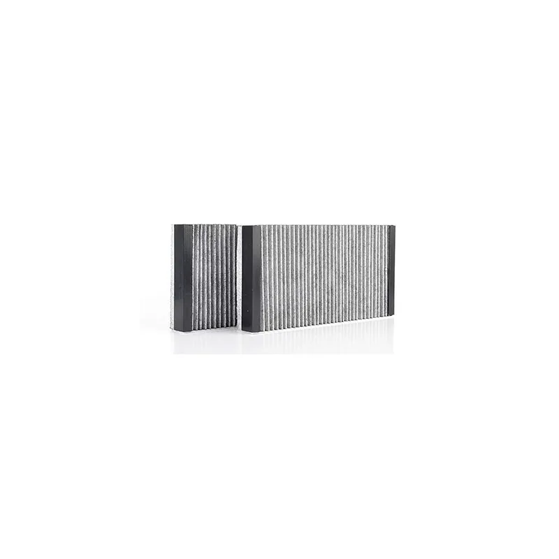 Filtre, air de l'habitacle BSG BSG 60-145-015
