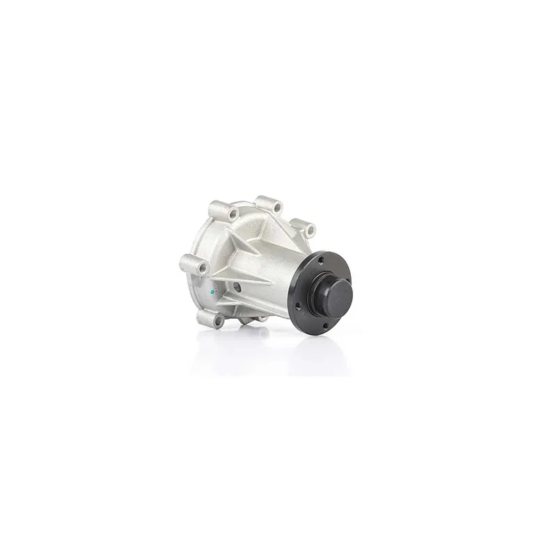 Pompe à eau BSG BSG 60-500-020