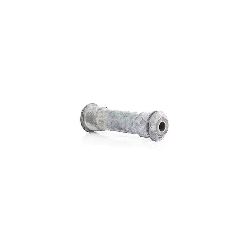 Coussinet, jumelle de ressort BSG BSG 60-700-030