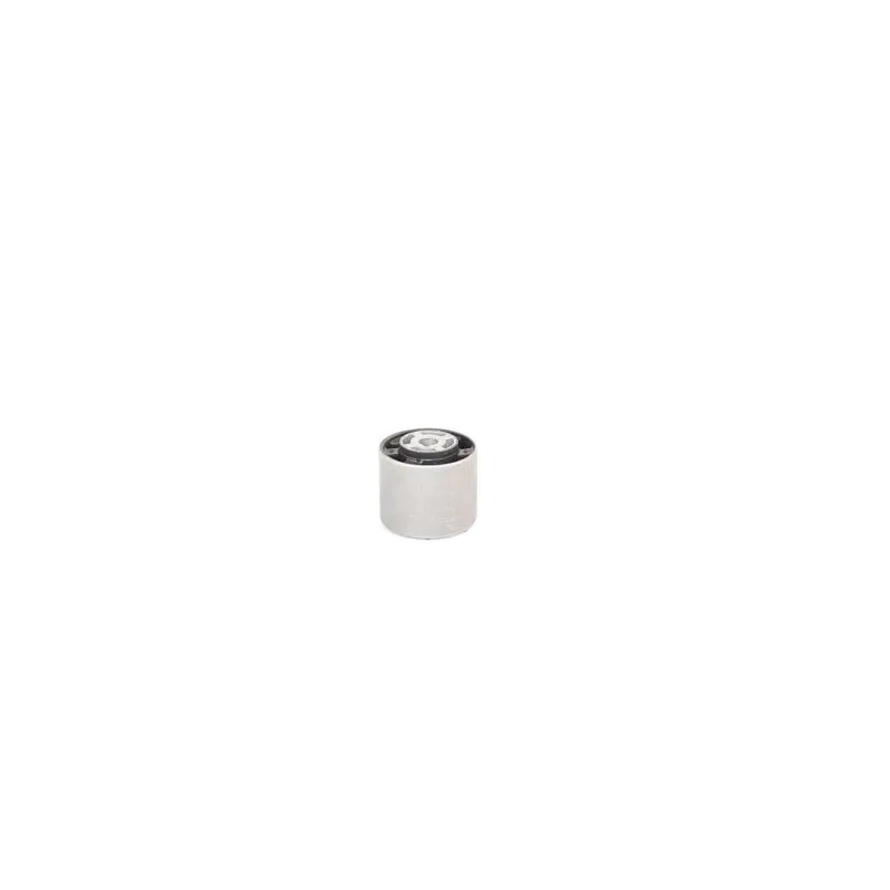 Suspension, Différentiel BSG BSG 60-700-193