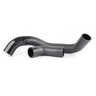 Gaine de suralimentation BSG BSG 60-720-008