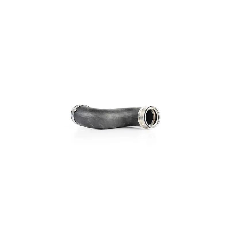 Gaine de suralimentation BSG BSG 60-720-027