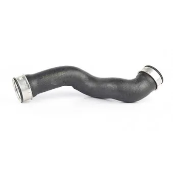 Gaine de suralimentation BSG BSG 60-720-037