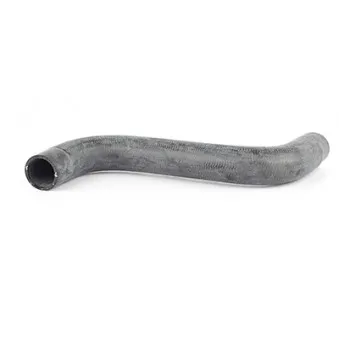 Durite de radiateur BSG BSG 60-720-075