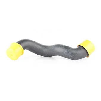 Durite de radiateur BSG BSG 60-720-114