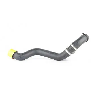 Durite de radiateur BSG BSG 60-720-186