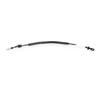 Câble d'accélération BSG BSG 60-755-001