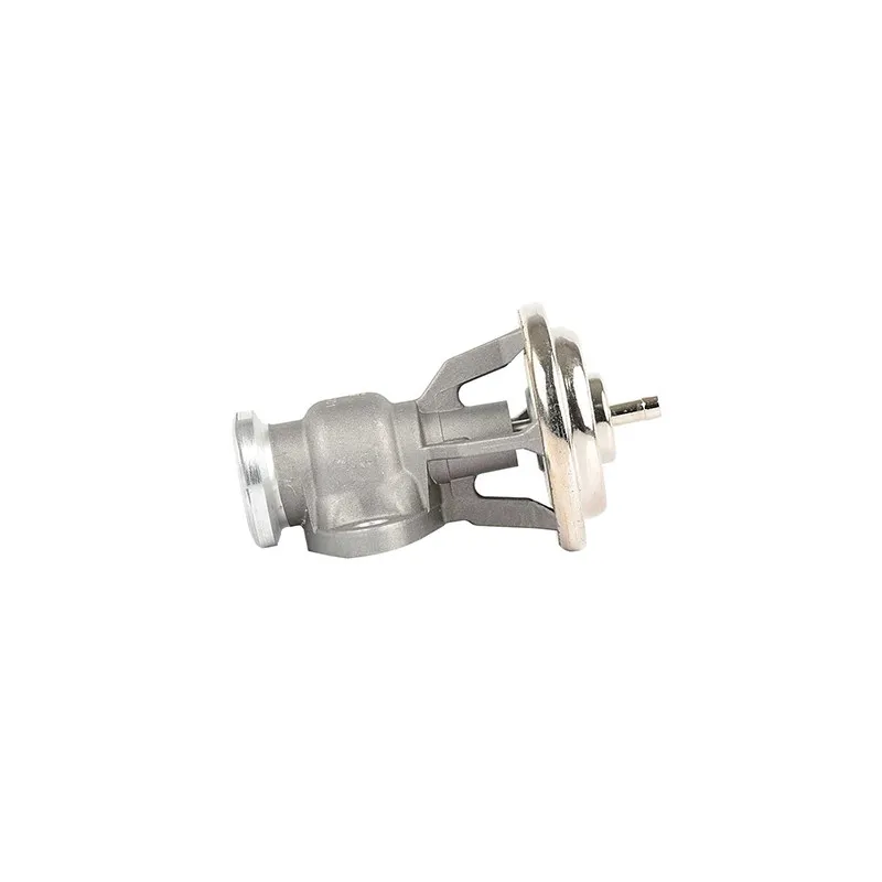 Vanne EGR BSG BSG 60-836-001