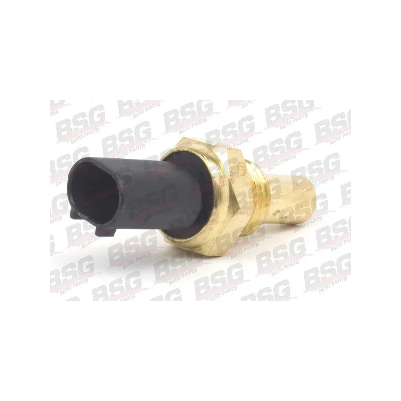 Sonde de température, liquide de refroidissement BSG BSG 60-840-013