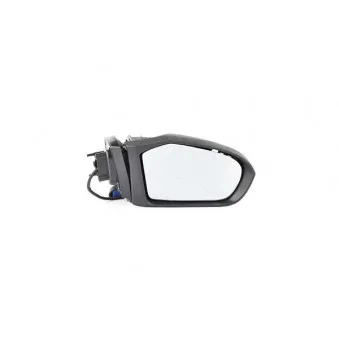 Rétroviseur extérieur BSG BSG 60-900-064