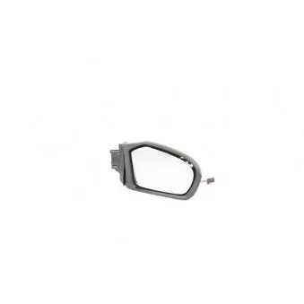 Rétroviseur extérieur BSG BSG 60-900-082