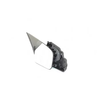 Rétroviseur extérieur BSG BSG 60-900-096