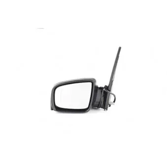 Rétroviseur extérieur BSG BSG 60-900-109