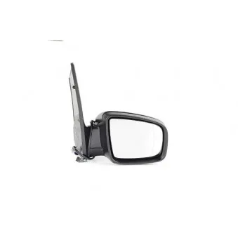 Rétroviseur extérieur BSG BSG 60-900-110