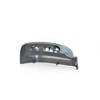 Rétroviseur extérieur BSG BSG 60-915-036