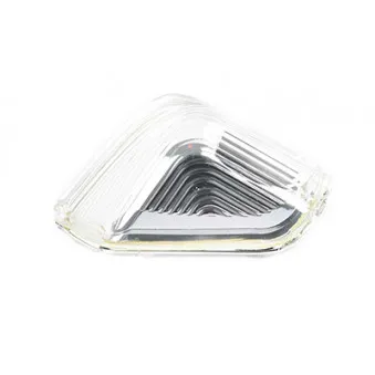 Feu clignotant avant droit BSG BSG 60-916-001