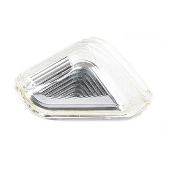 Feu clignotant avant gauche BSG BSG 60-916-002