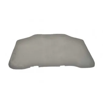 Insonorisation du compartiment moteur BSG BSG 60-922-005