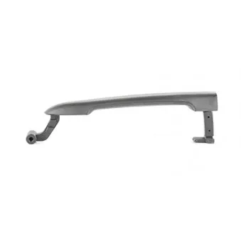 Poignée de porte BSG BSG 60-975-032