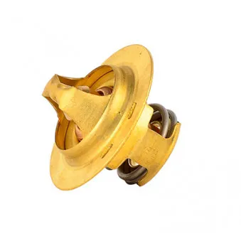 Thermostat d'eau BSG BSG 65-125-001