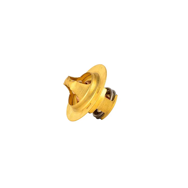 Thermostat d'eau BSG BSG 65-125-001
