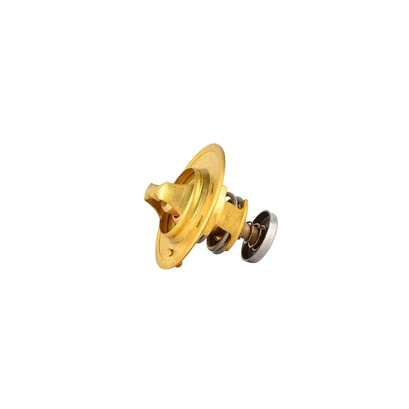 Thermostat d'eau BSG BSG 65-125-003