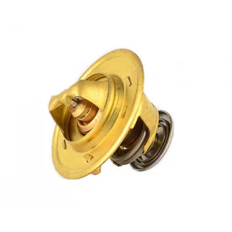 Thermostat d'eau BSG BSG 65-125-004