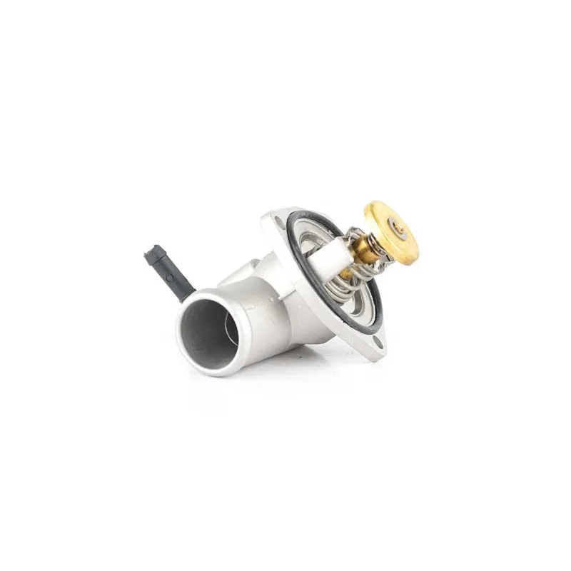 Thermostat d'eau BSG BSG 65-125-006