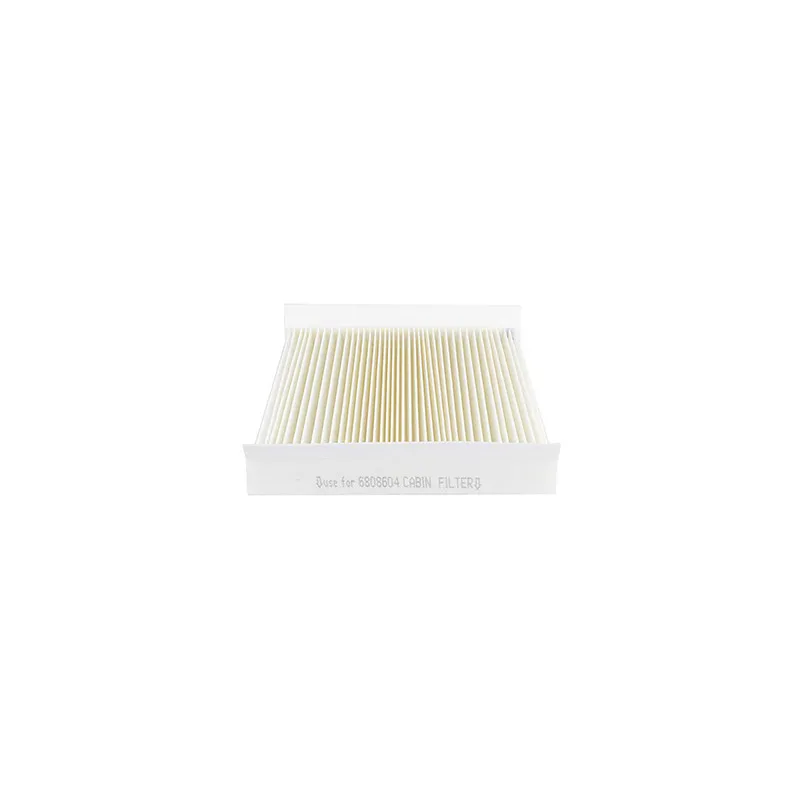 Filtre, air de l'habitacle BSG BSG 65-145-006