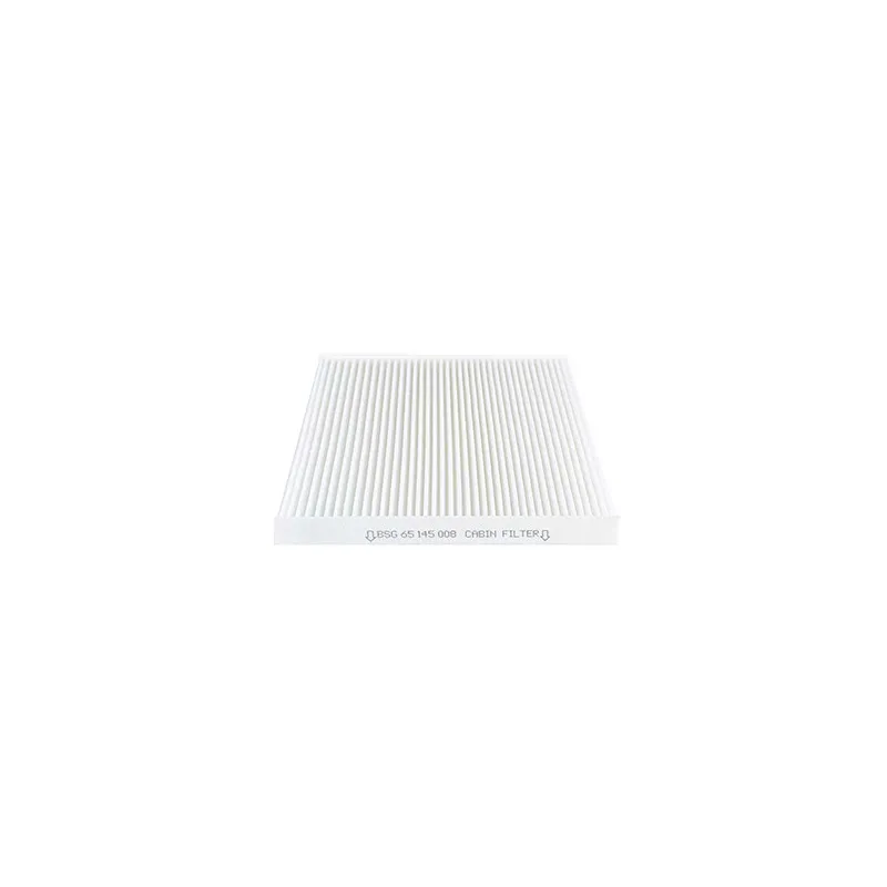 Filtre, air de l'habitacle BSG BSG 65-145-008