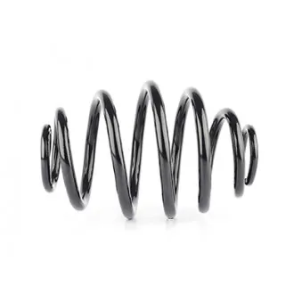 Ressort de suspension BSG BSG 65-305-011