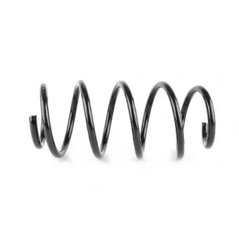 Ressort de suspension BSG BSG 65-305-012