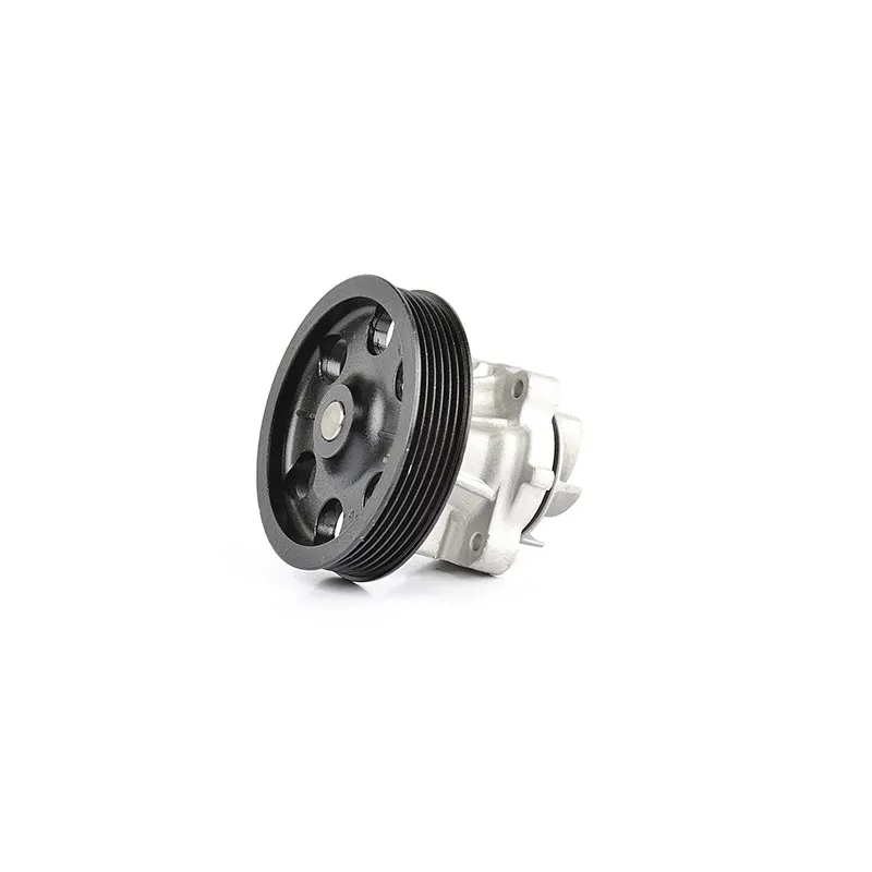 Pompe à eau BSG BSG 65-500-005