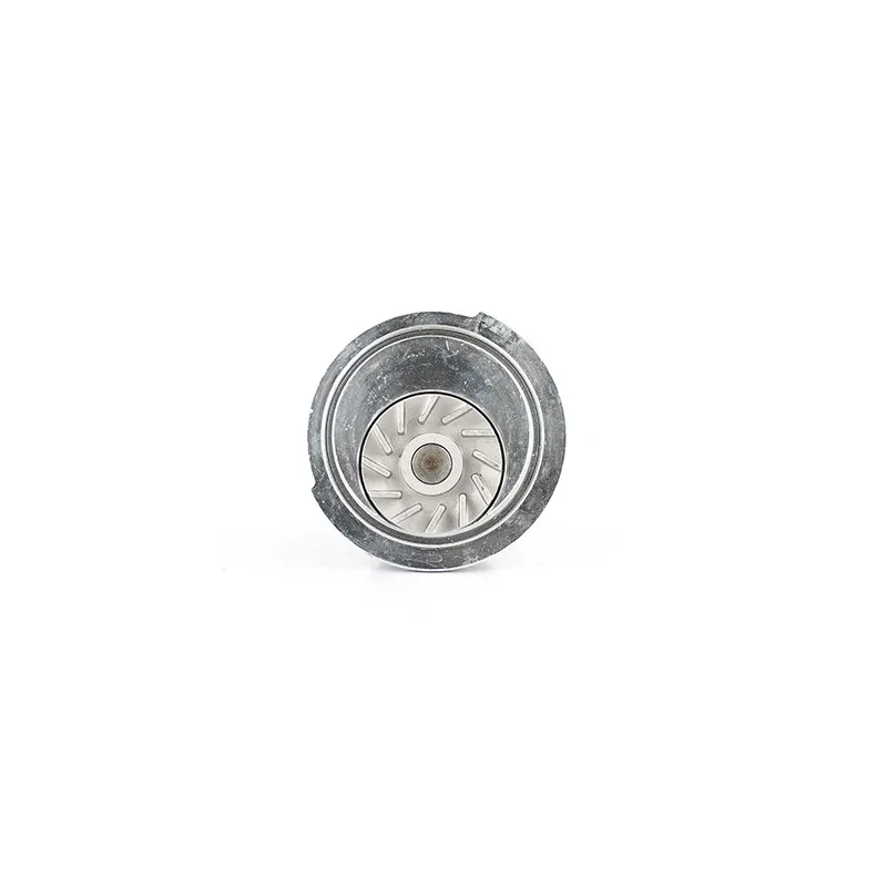 Pompe à eau BSG BSG 65-500-006