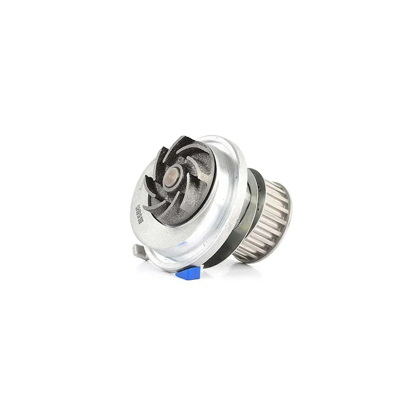 Pompe à eau BSG BSG 65-500-013