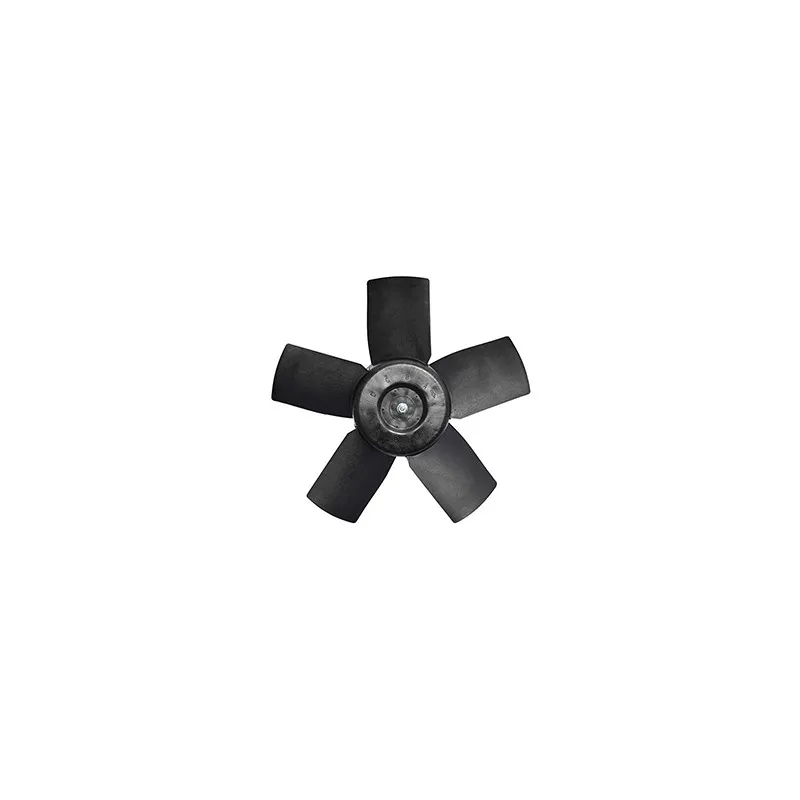 Ventilateur, refroidissement du moteur BSG BSG 65-510-004