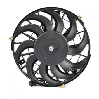 Ventilateur, refroidissement du moteur BSG BSG 65-510-015