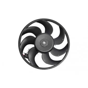 Ventilateur, refroidissement du moteur BSG BSG 65-510-028