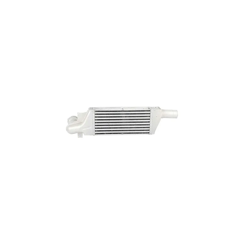 Intercooler, échangeur BSG BSG 65-535-001