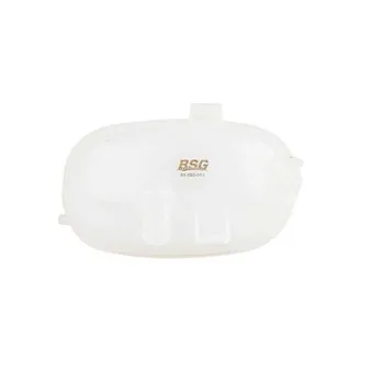Vase d'expansion, liquide de refroidissement BSG BSG 65-550-011