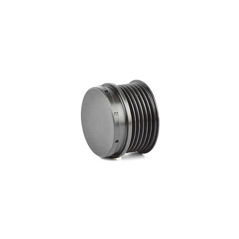 Poulie roue libre, alternateur BSG BSG 65-615-028
