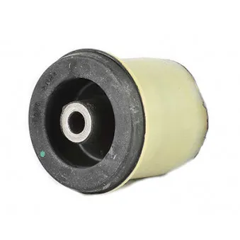 Suspension, corps de l'essieu BSG BSG 65-700-202